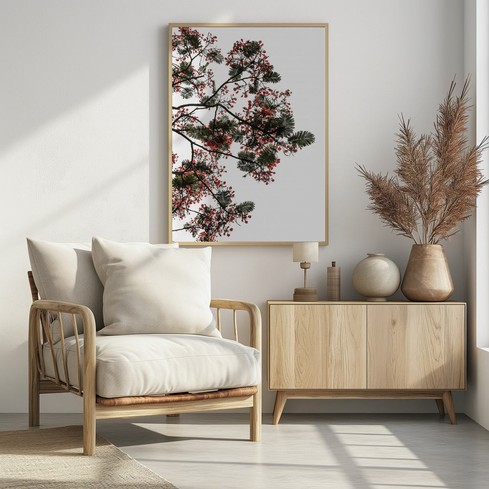 Blossom Canopy | Poster