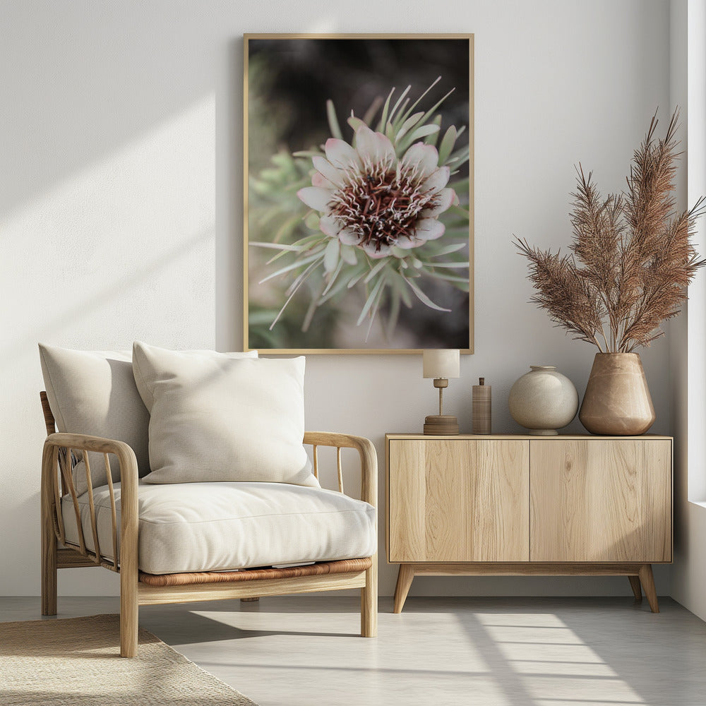 Desert Bloom Halo | Poster