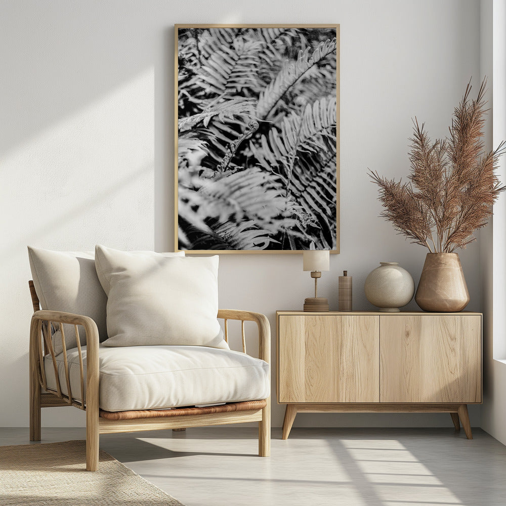 Whispering Ferns | Poster