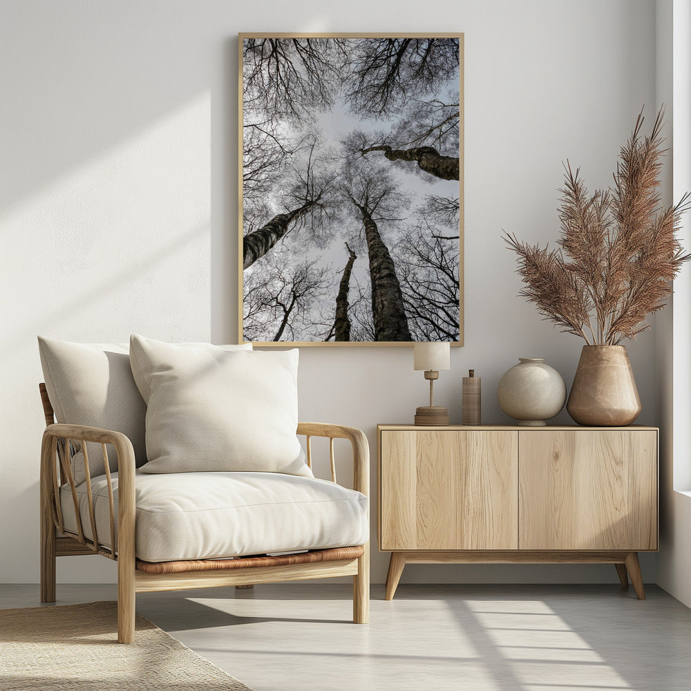 Winter&#039;s Embrace | Poster