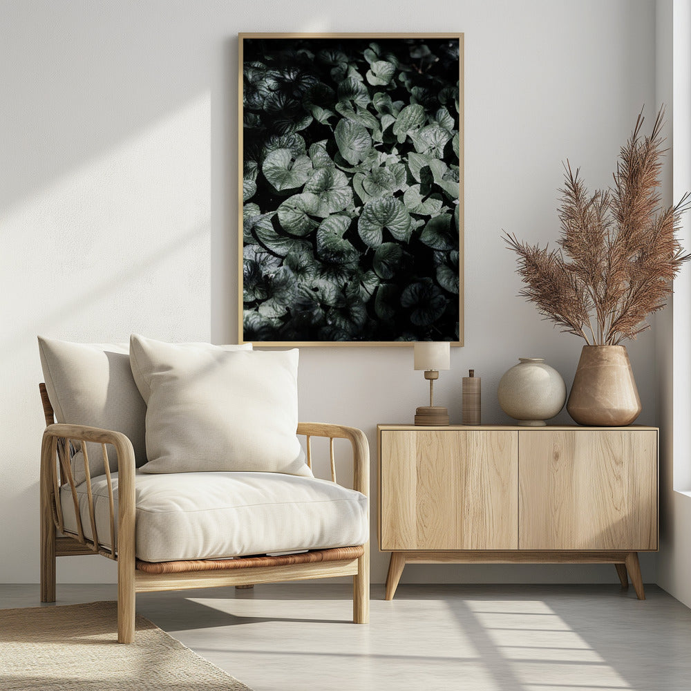 Leafy Shadows | Poster