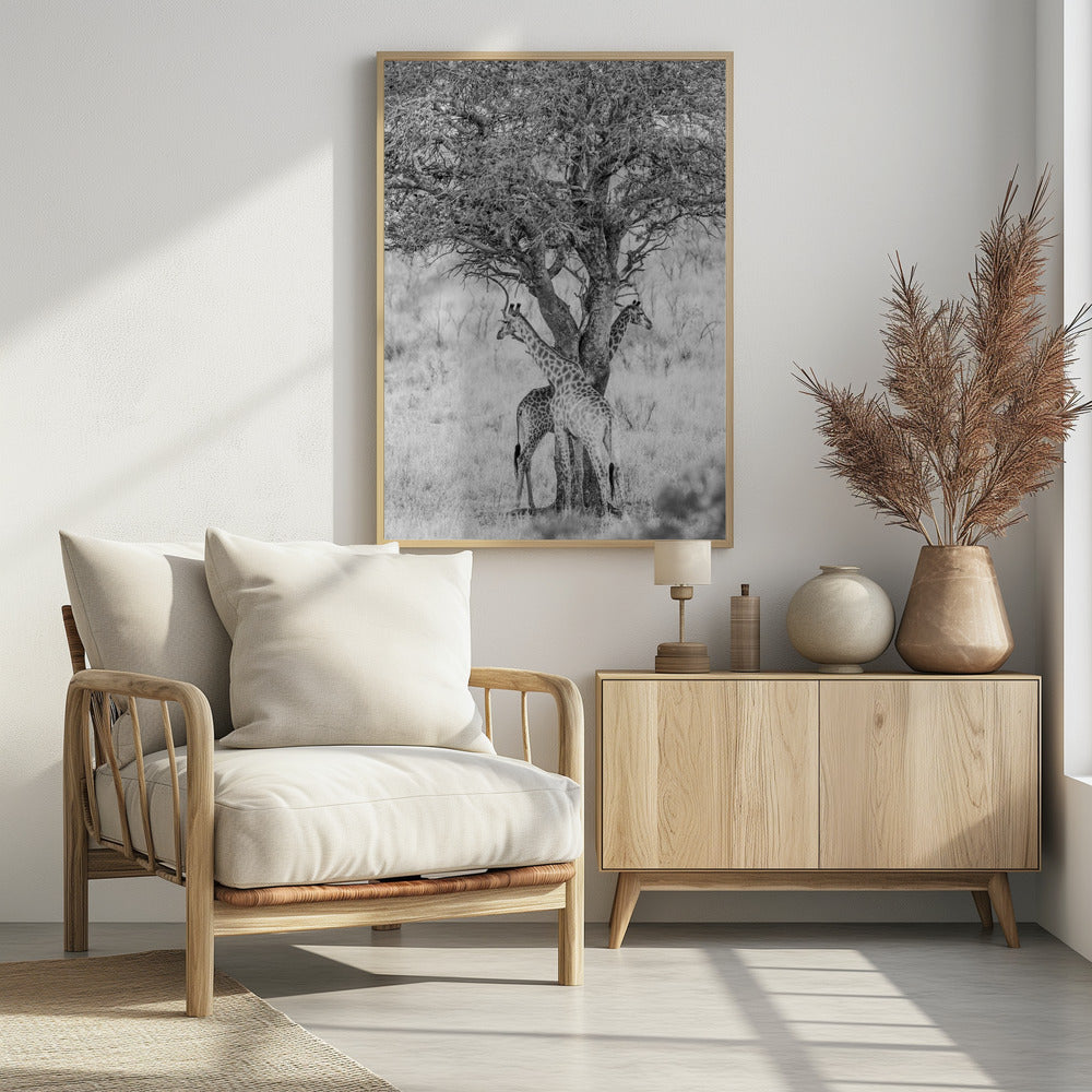 Under African Skies | Poster