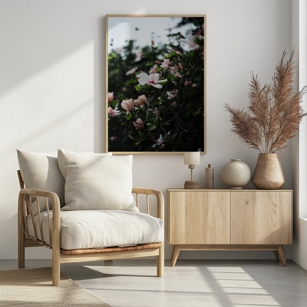 Blossoms in Bloom | Poster