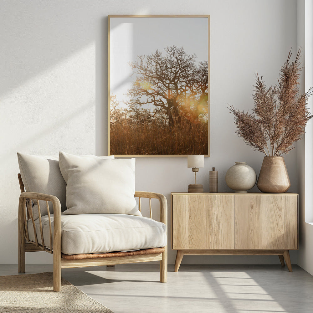 Sunlit Silhouette | Poster