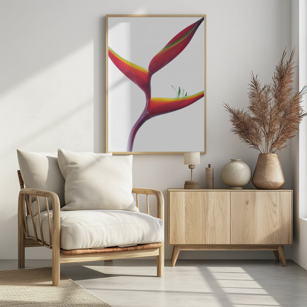 Tropical Elegance | Poster
