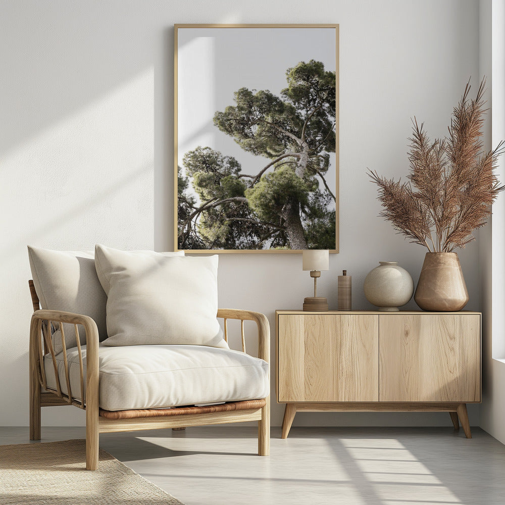 Towering Pines | Poster