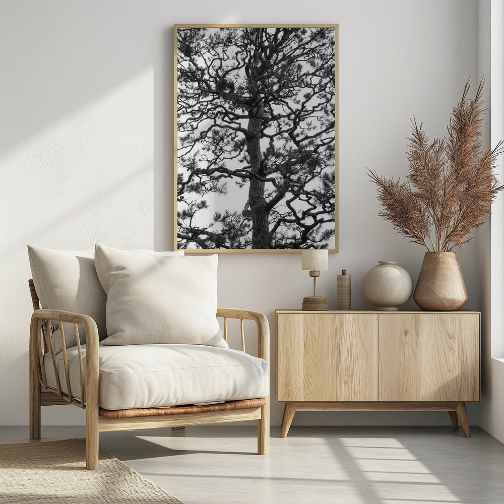 Twisting Tree Silhouette | Poster