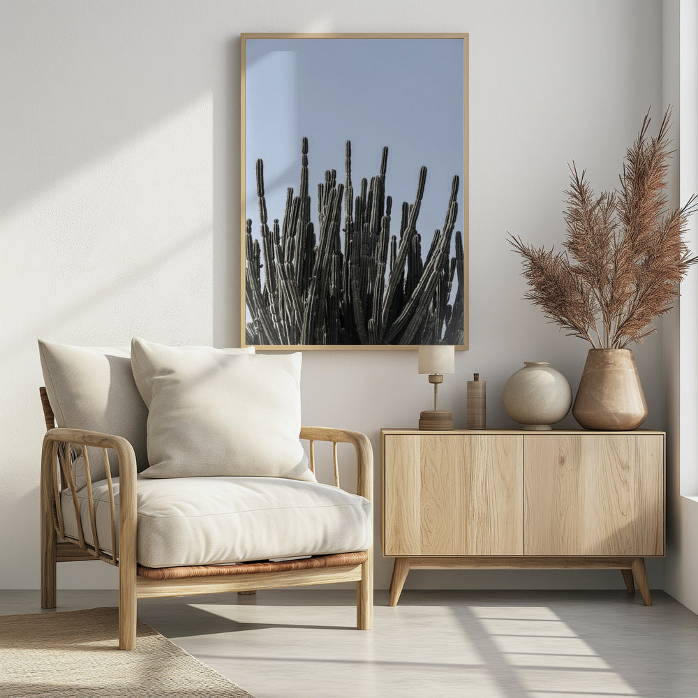 Cactus Symphony | Poster