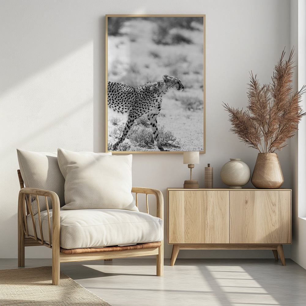 Cheetah's Grace | Poster