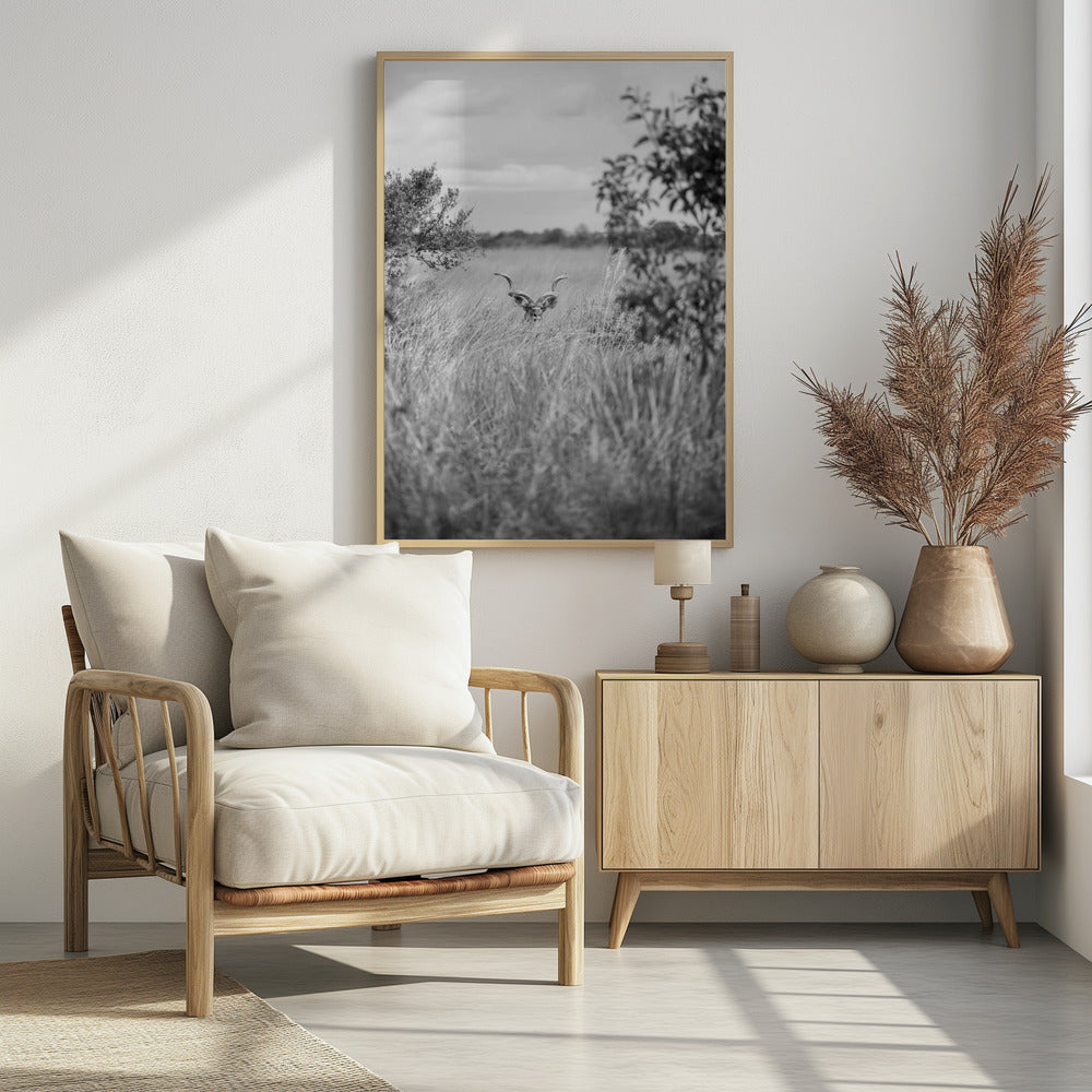 Hidden in the Grass | Poster