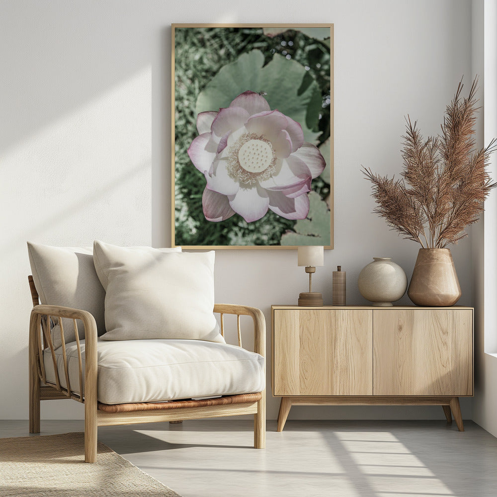 Lotus Serenity | Poster