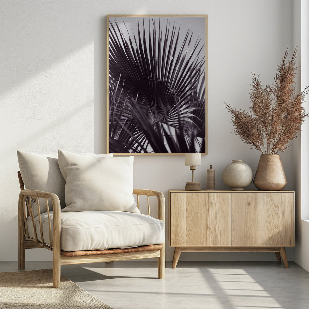 Palm Whisperings | Poster