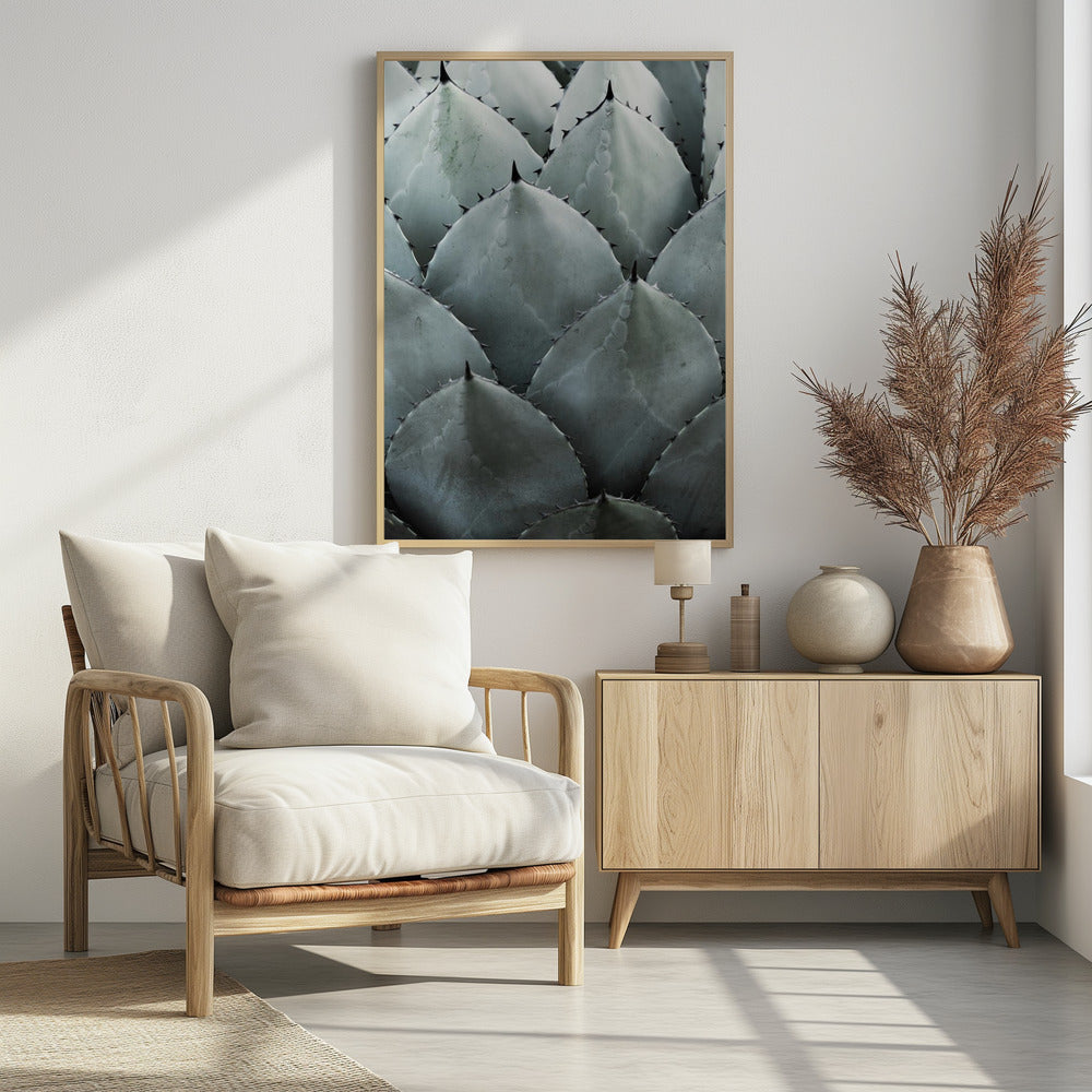Agave Symmetry | Poster