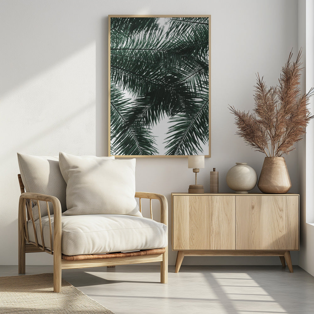 Sunlit Palms Canopy | Poster