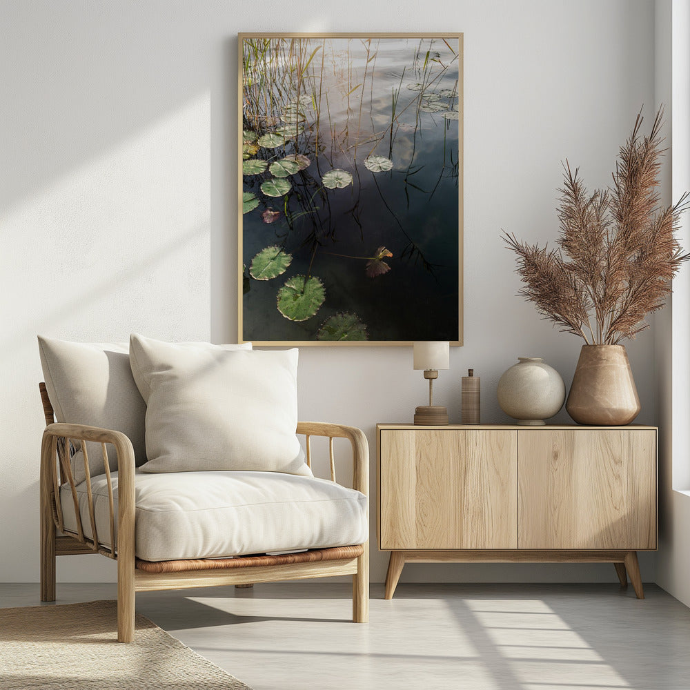 Lily&#039;s Tranquil Dawn | Poster