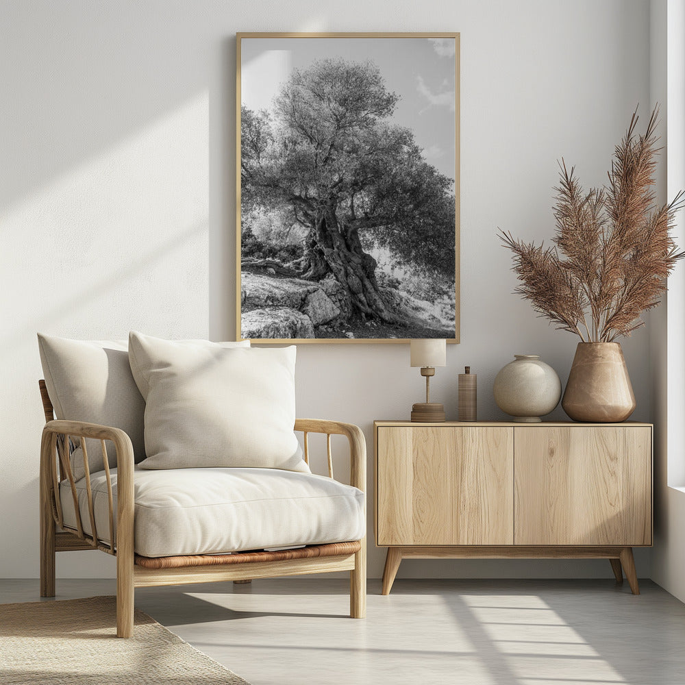 Ancient Sentinel | Poster