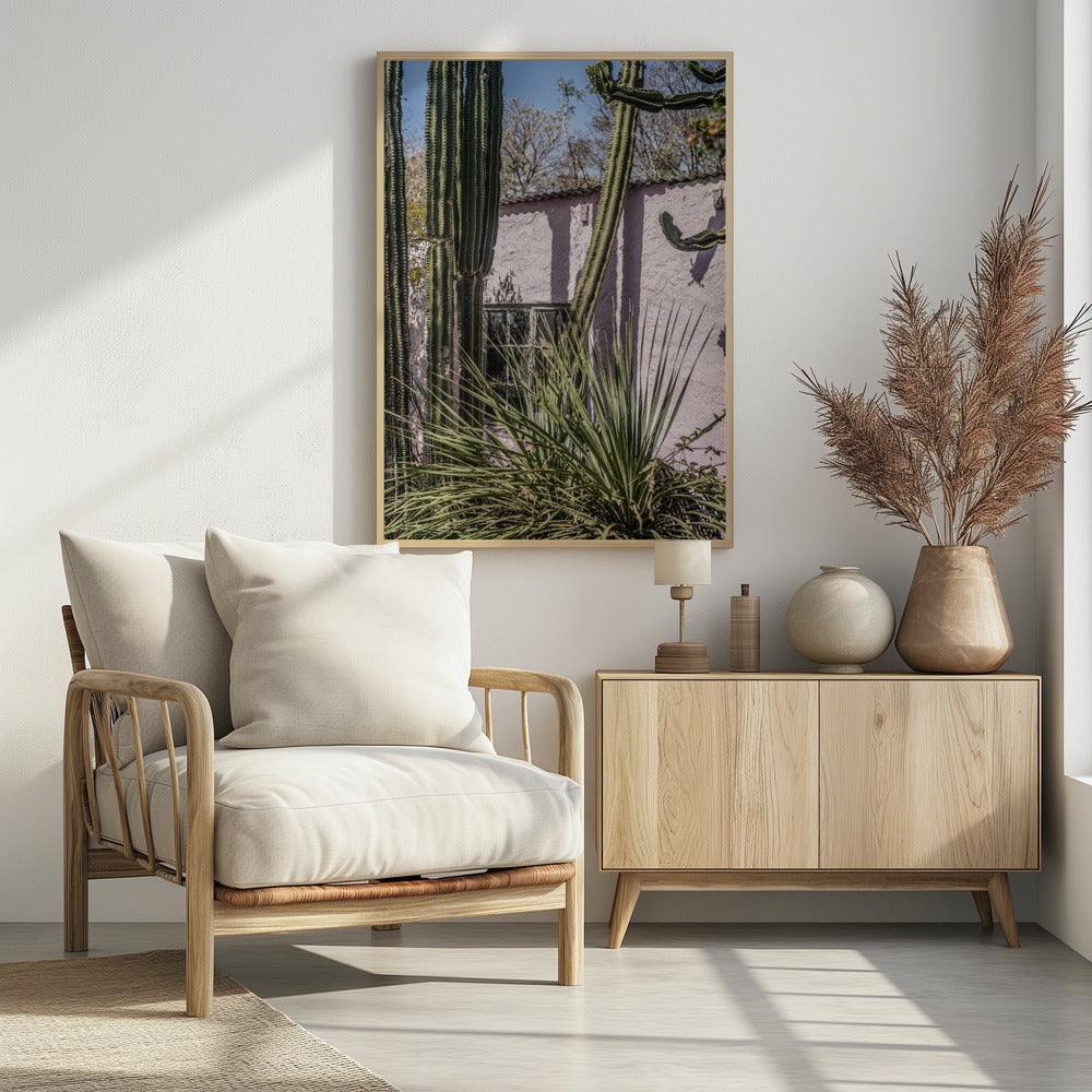 Cactus &amp; Pink Wall | Poster