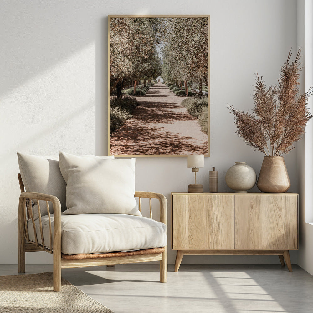 A Serene Tree Lined Path with Sunlight | Poster