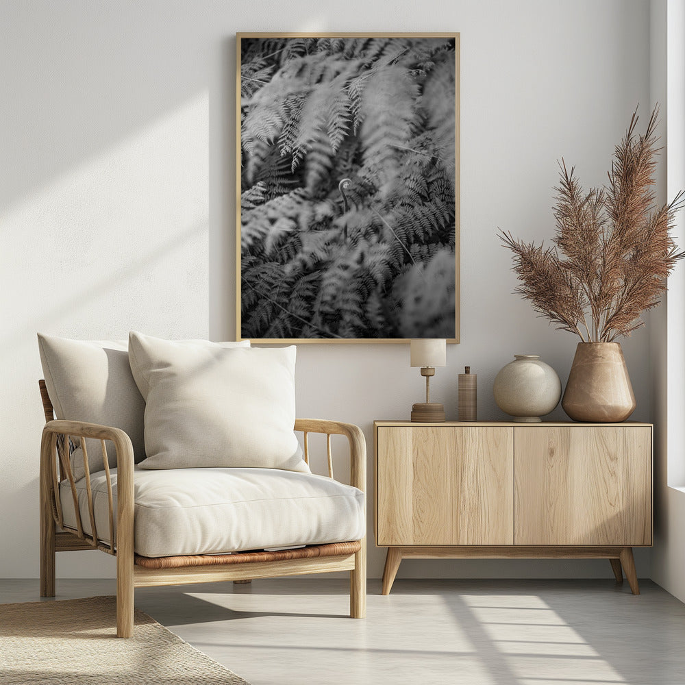 Black And White Photograph | Poster