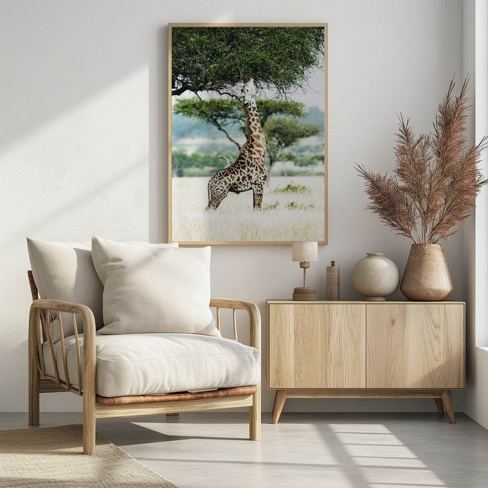 Majestic Giraffe Stretches | Poster