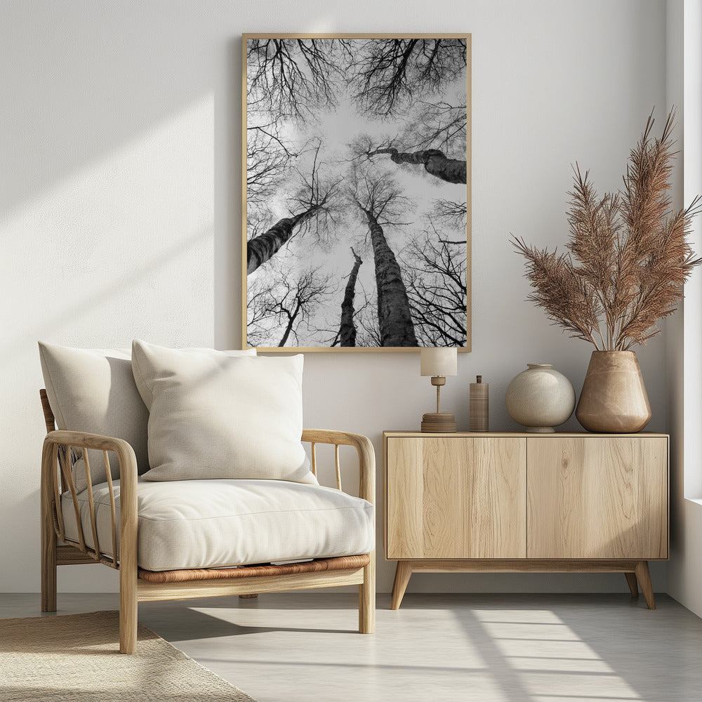 Reaching Branches | Poster