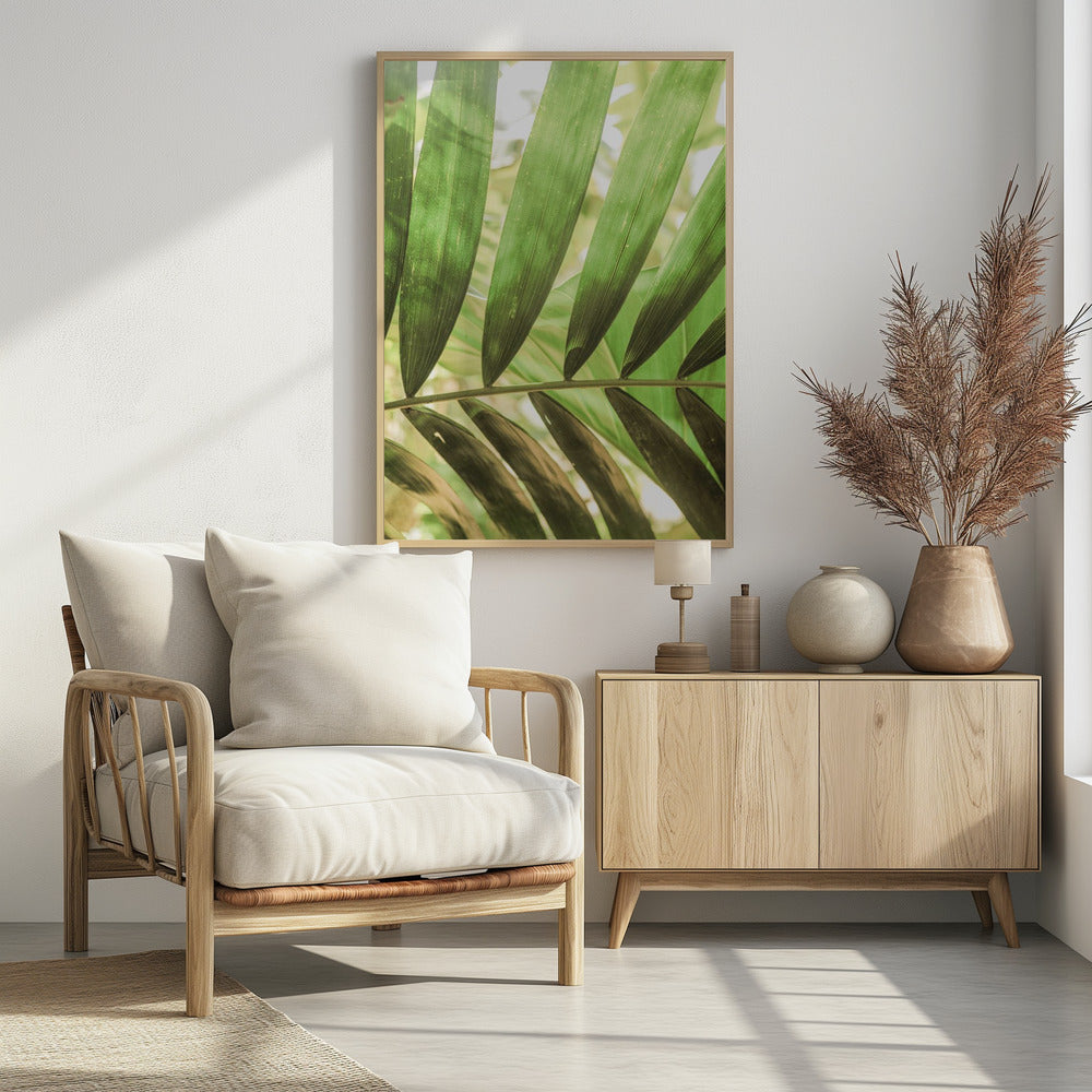 Beauty Of Palm Leaves | Poster