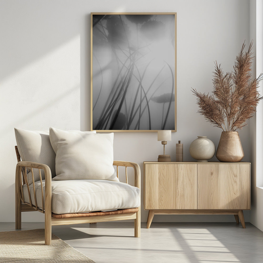 Water Lilly | Poster