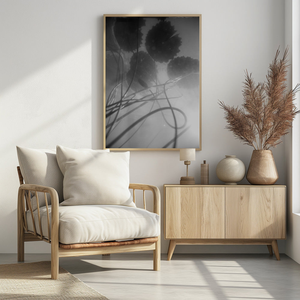 Water Lilly | Poster