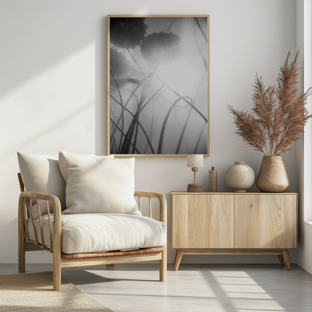 Water Lilly | Poster