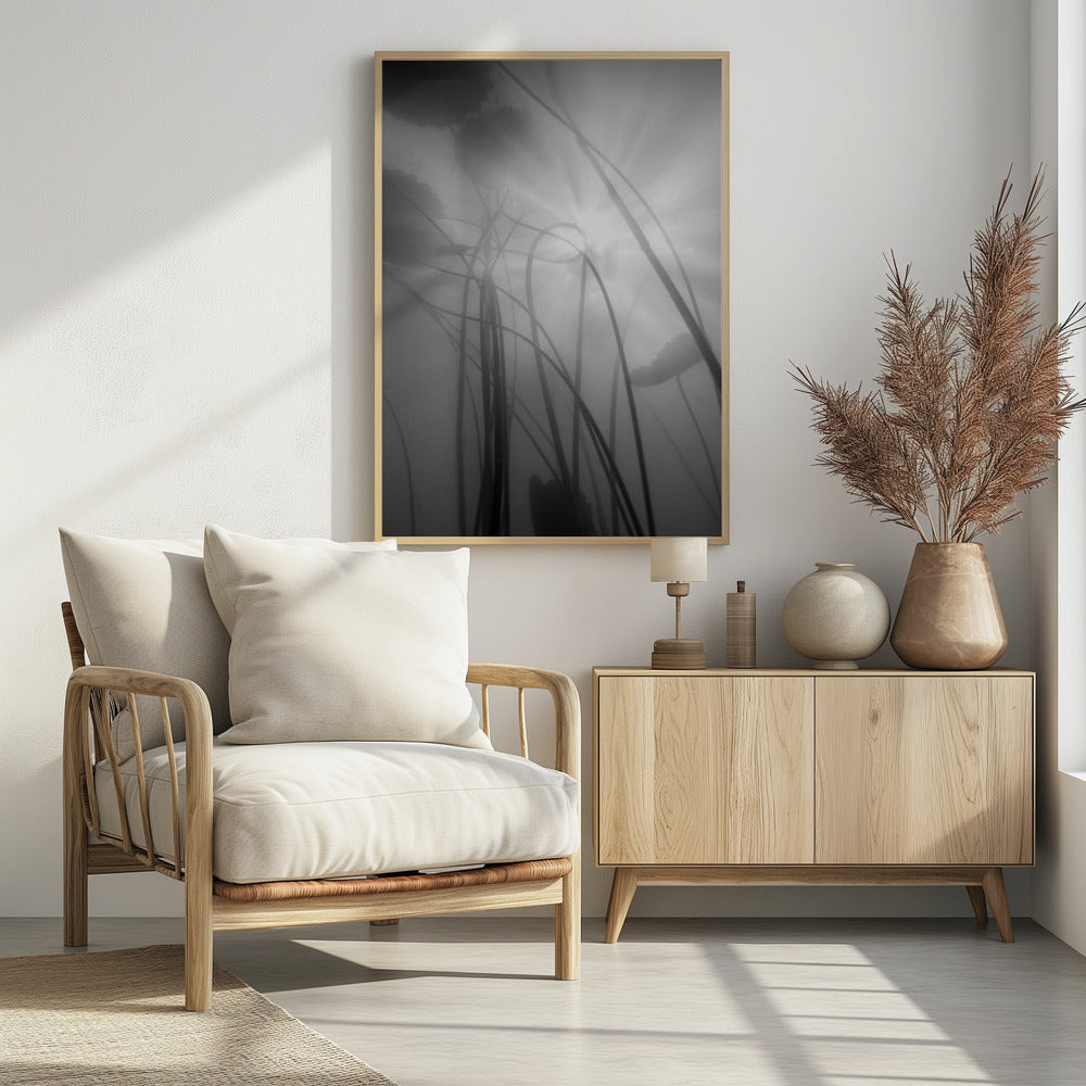 Water Lilly | Poster