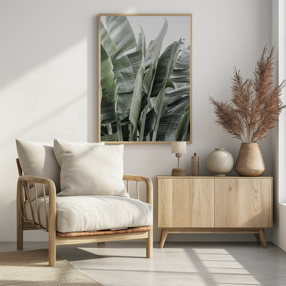 Banana Leaves In Soft Lighting | Poster