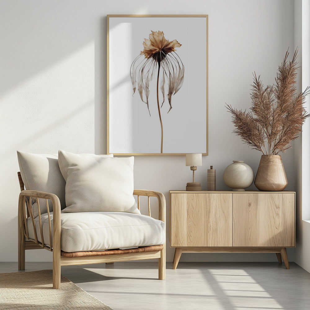 Faded Elegance | Poster