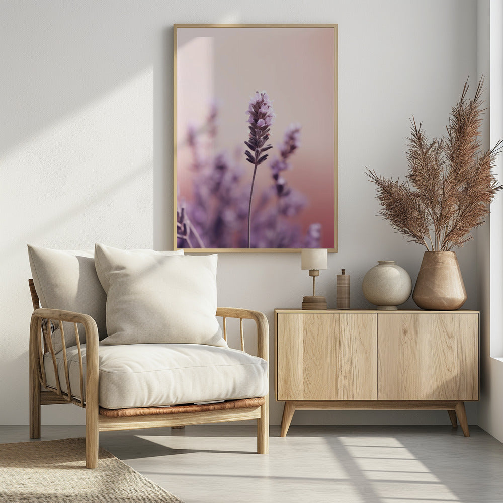 Lavender Serenity | Poster