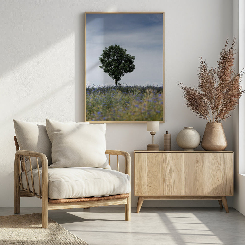 Summer Meadow | Poster