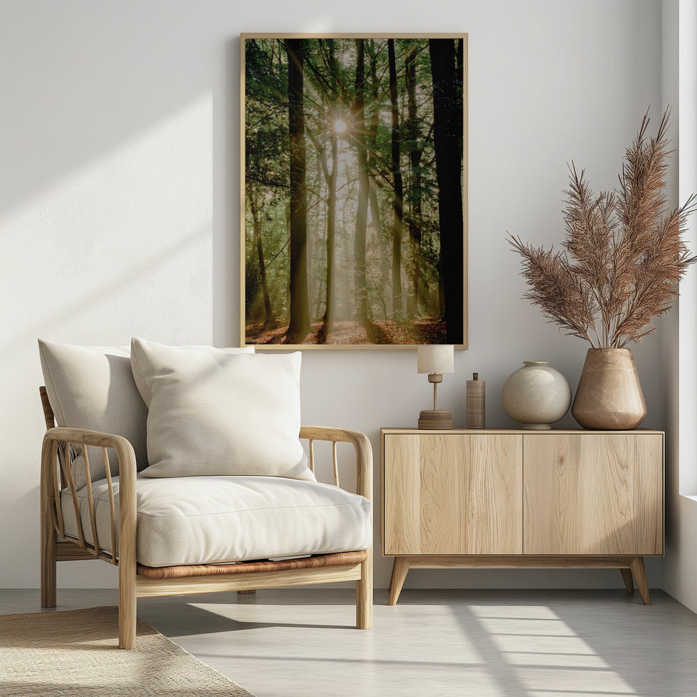Sunbeams through the forest | Poster