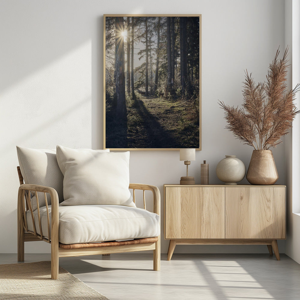 Dsf2913 Hdr 1 | Poster