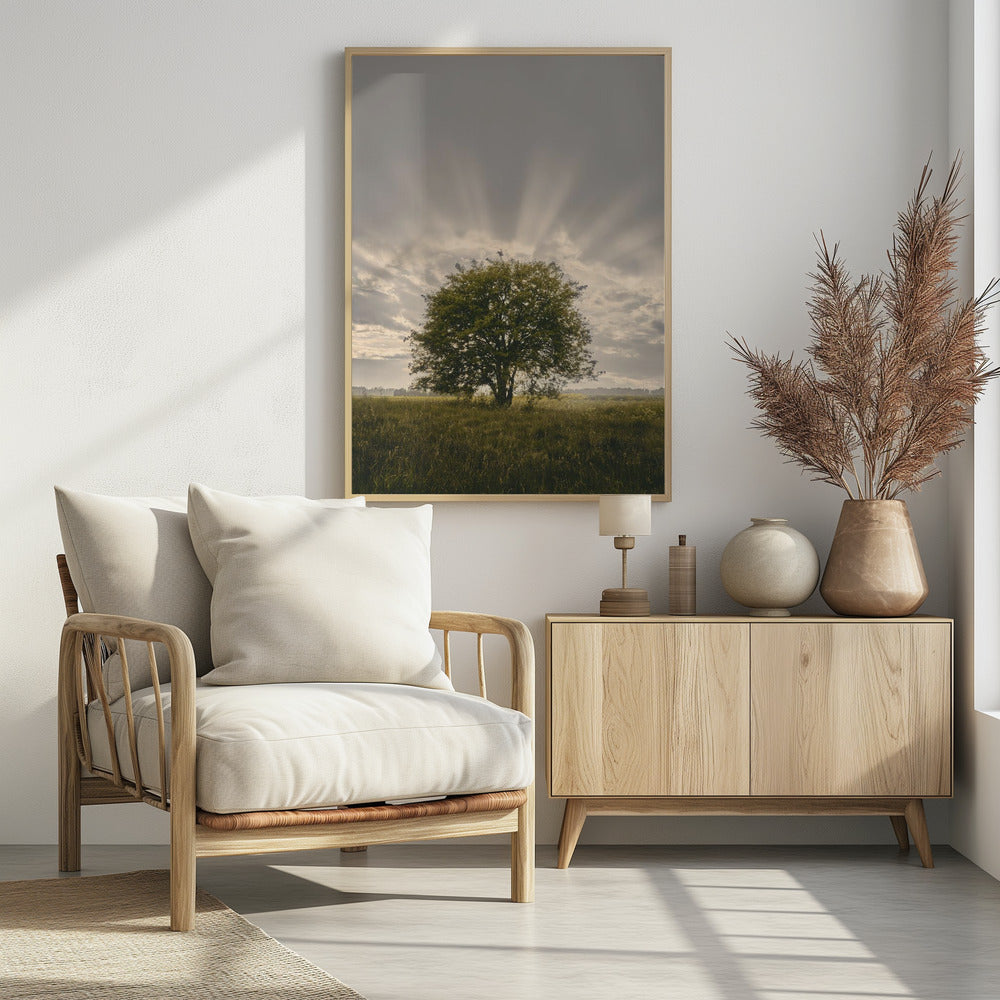 20220616  Dsf4394 | Poster