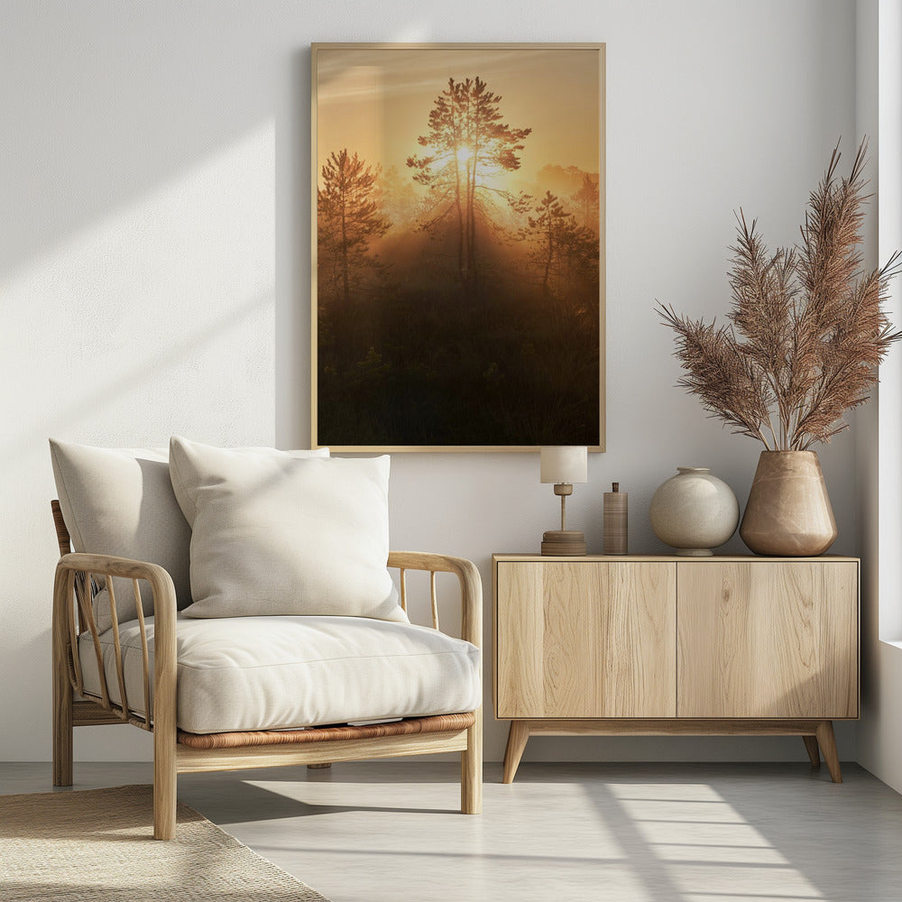 20220809  Dsf8009 Hdr 1 | Poster