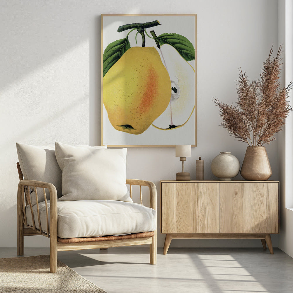 Kiefer's Hybrid Pear Lithograph | Poster