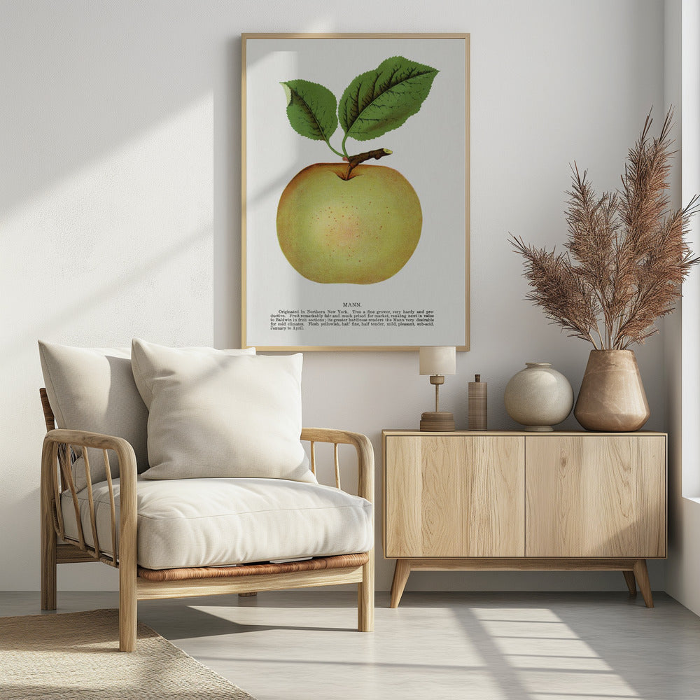 Mann Apple Lithograph | Poster