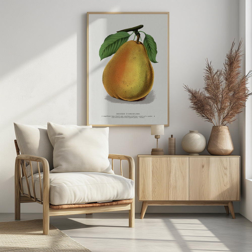 Duchess D'angouleme Pear Lithograph | Poster