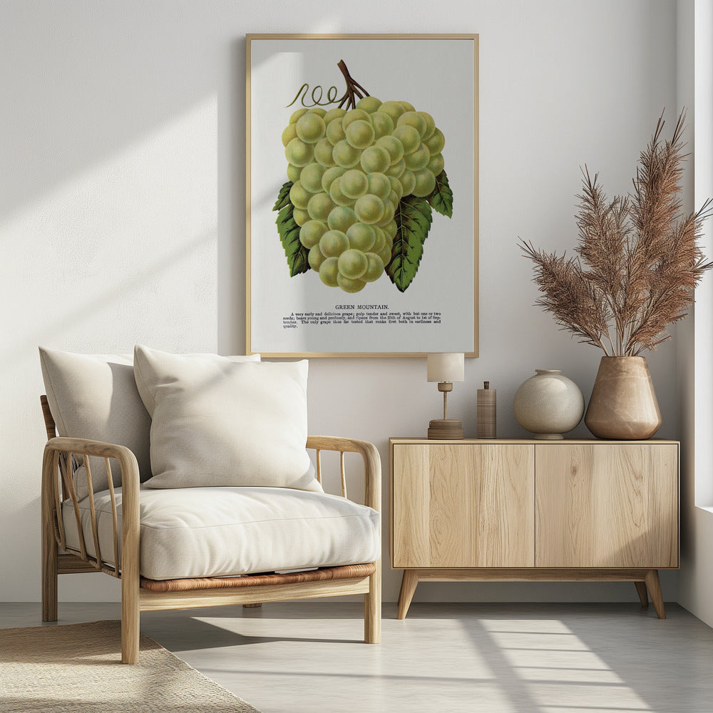 Green Mountain Grape Lithograph | Poster