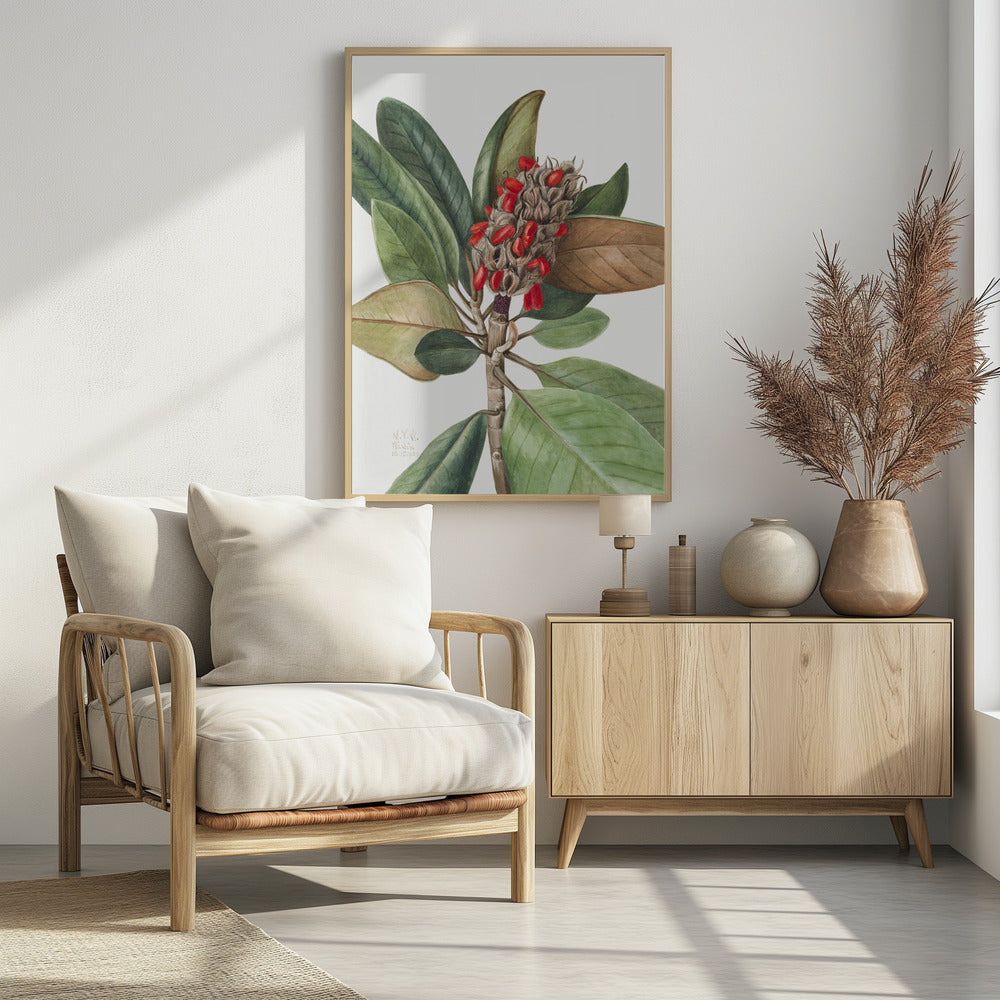 Southern Magnolia (1923) | Poster