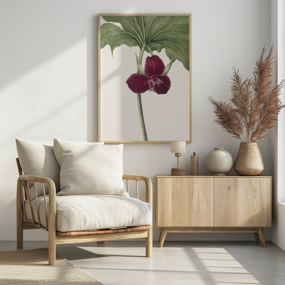 Sweet Trillium | Poster