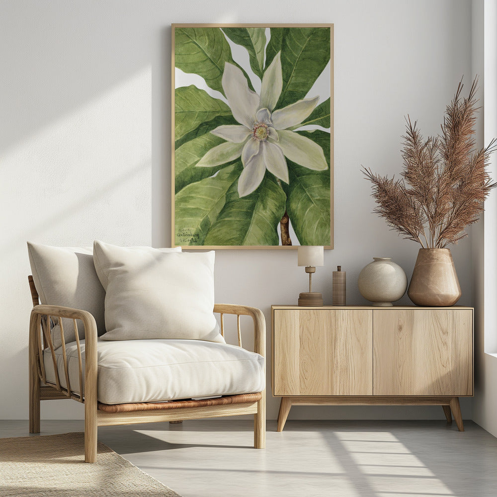 Umbrella Tree (1932) | Poster