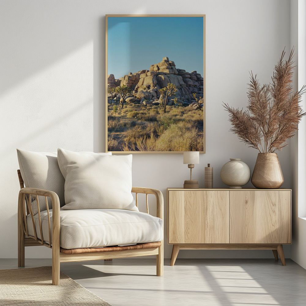 Joshua Tree Sunset | Poster