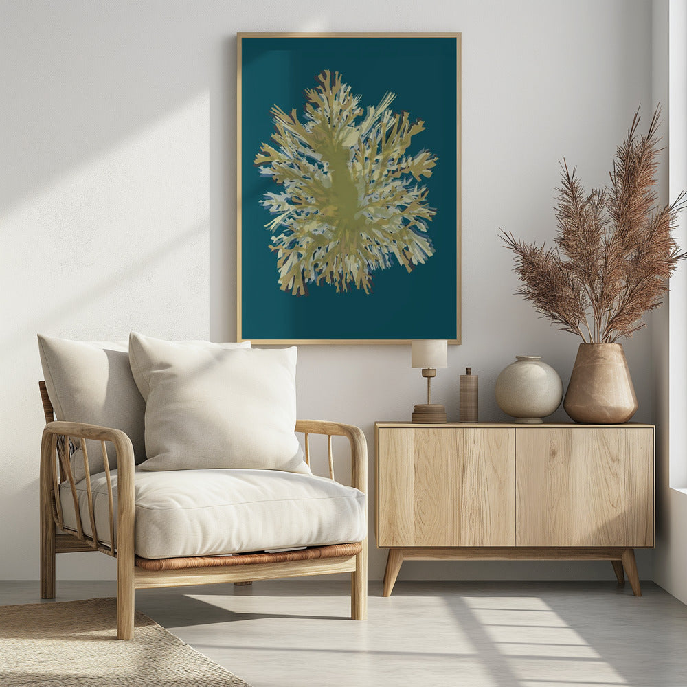 Seaweed  Poster 1 | Poster