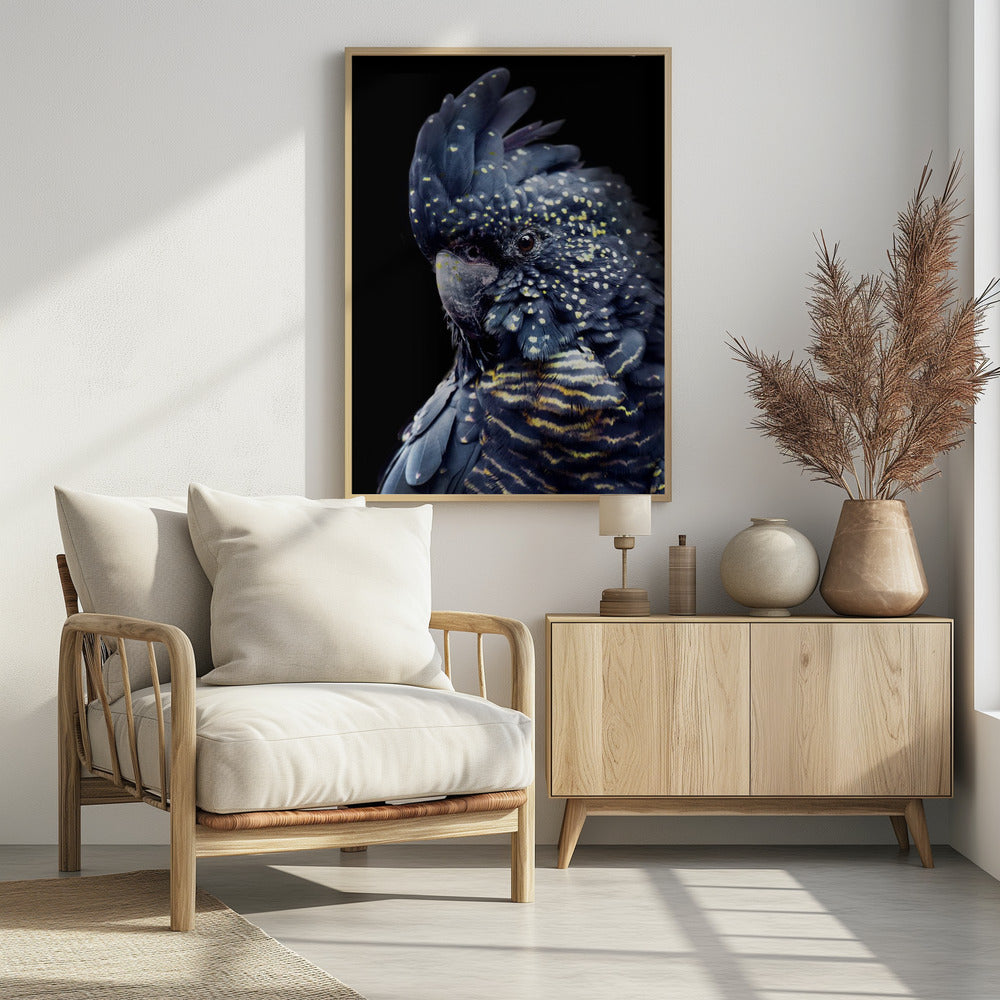 Blackcockatoo2 | Poster