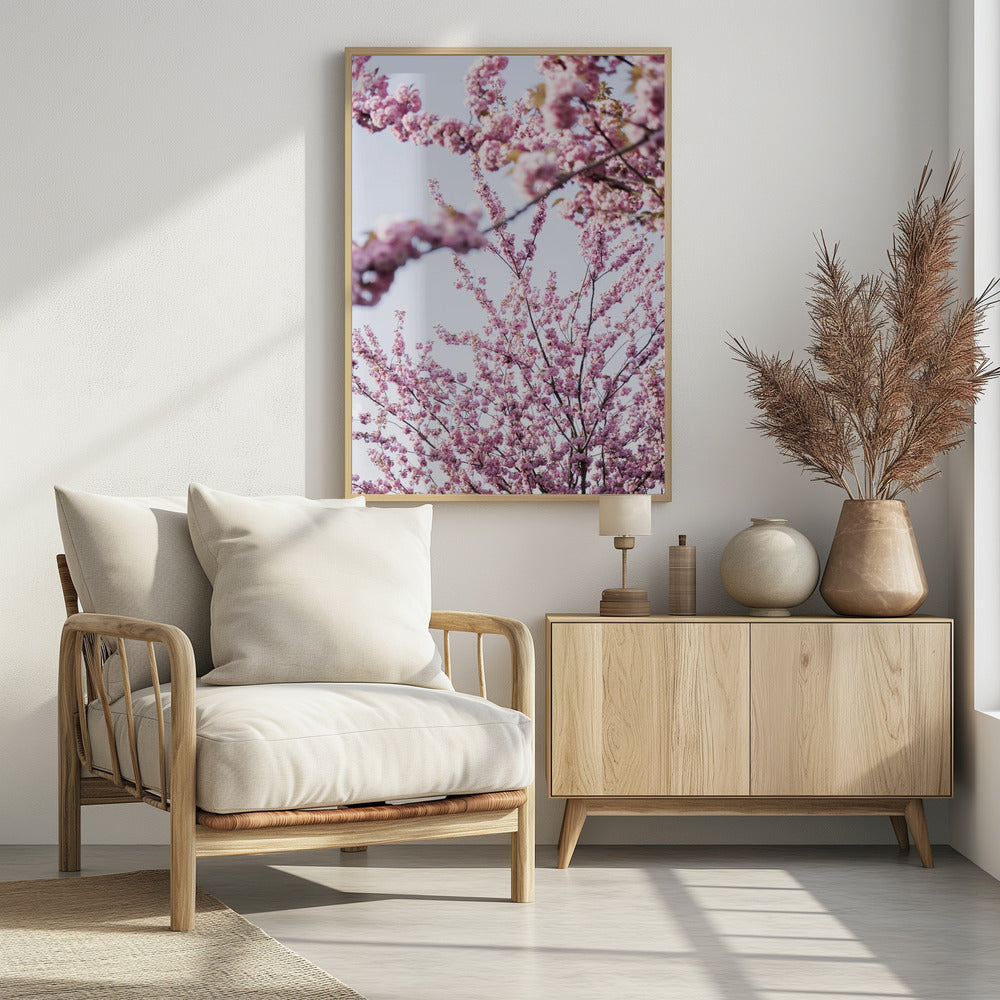 Colorful Spring 11 | Poster