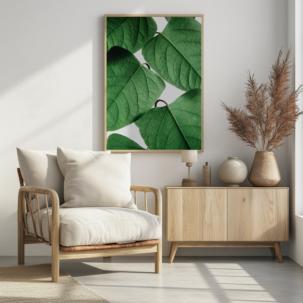 Summer Branches | Poster